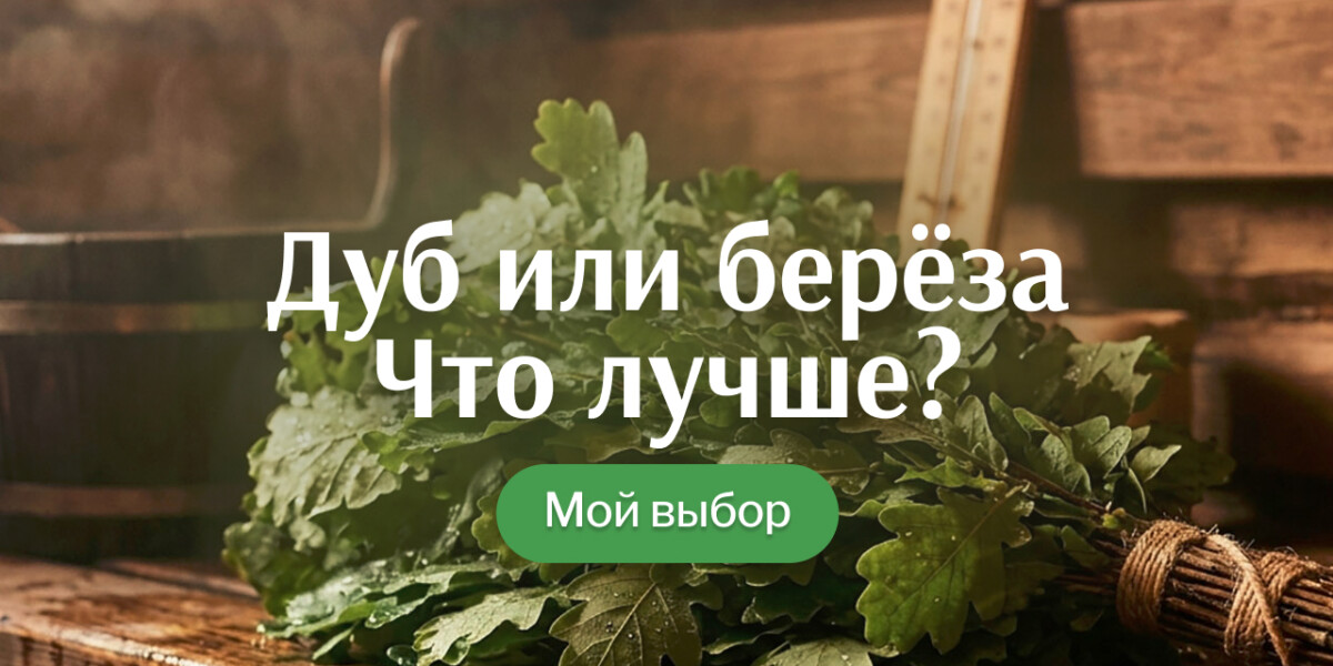 Какой веник лучше для парения: дуб или берёза?