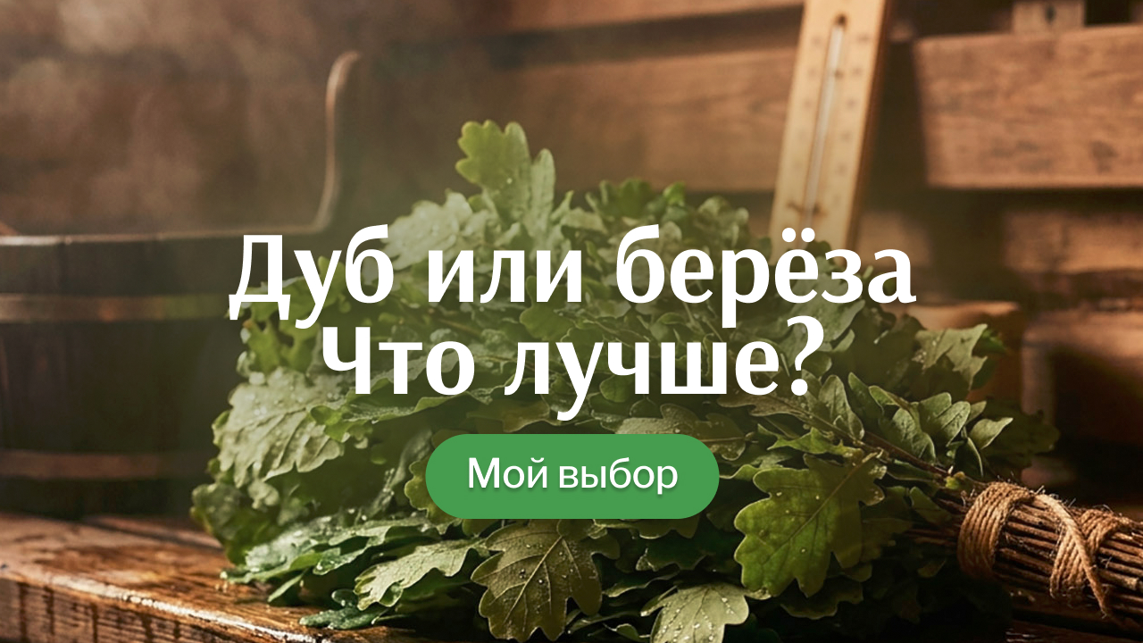 Какой веник лучше для парения: дуб или берёза?